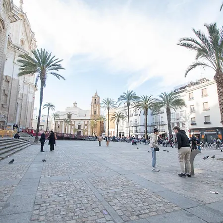 Arco De Blanco Cadiz