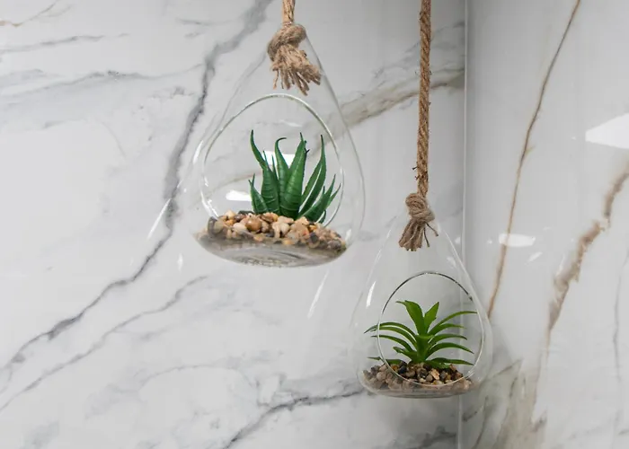 Arco De Blanco Cádiz