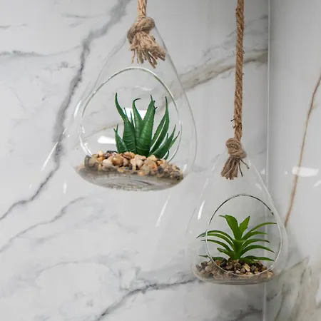 Arco De Blanco 加的斯